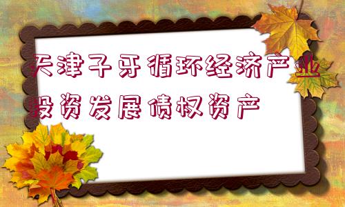 天津子牙循環(huán)經(jīng)濟(jì)產(chǎn)業(yè)投資發(fā)展債權(quán)資產(chǎn)