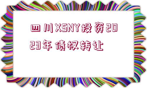 四川XSNY投資2023年債權(quán)轉(zhuǎn)讓