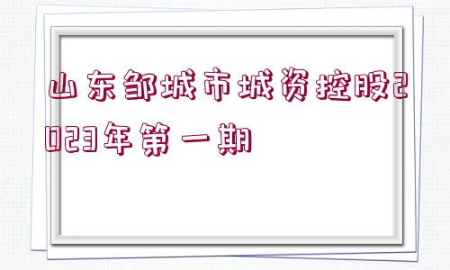 山東鄒城市城資控股2023年第一期