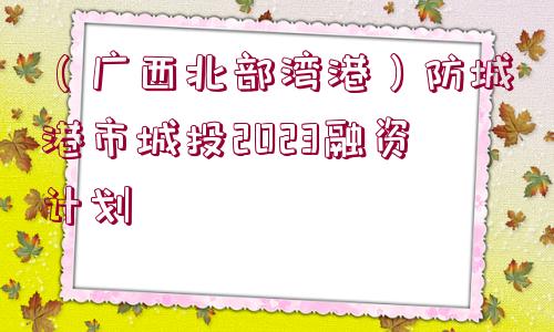 （廣西北部灣港）防城港市城投2023融資計(jì)劃