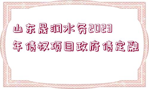 山東晟潤水務(wù)2023年債權(quán)項目政府債定融