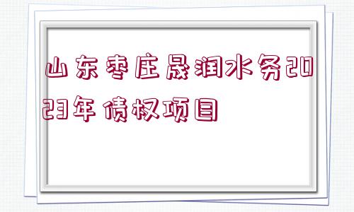 山東棗莊晟潤水務2023年債權項目