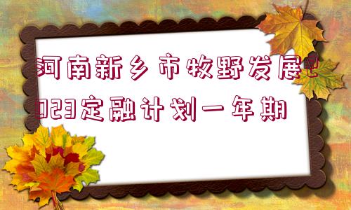 河南新鄉(xiāng)市牧野發(fā)展2023定融計(jì)劃一年期