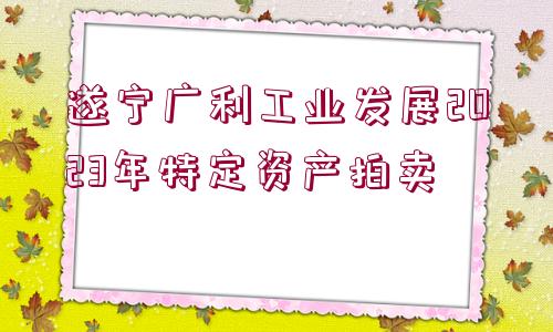 遂寧廣利工業(yè)發(fā)展2023年特定資產(chǎn)拍賣