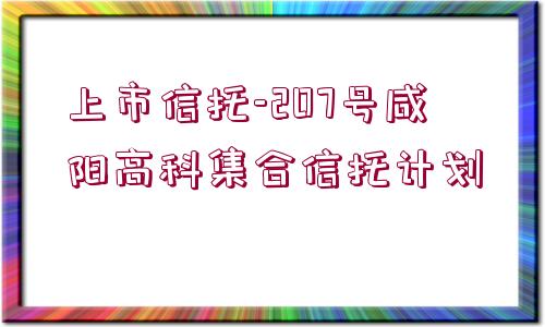 上市信托-207號咸陽高科集合信托計劃