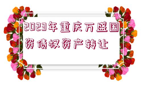 2023年重慶萬盛國資債權(quán)資產(chǎn)轉(zhuǎn)讓