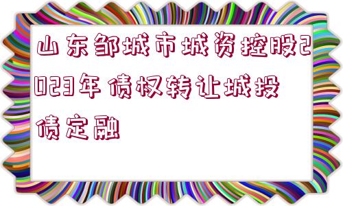 山東鄒城市城資控股2023年債權(quán)轉(zhuǎn)讓城投債定融