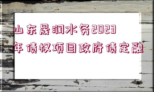 山東晟潤水務(wù)2023年債權(quán)項(xiàng)目政府債定融