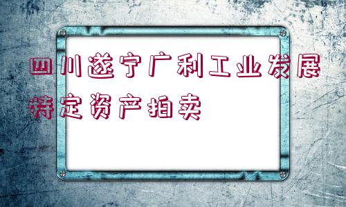 四川遂寧廣利工業(yè)發(fā)展特定資產(chǎn)拍賣