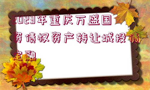 2023年重慶萬(wàn)盛國(guó)資債權(quán)資產(chǎn)轉(zhuǎn)讓城投債定融