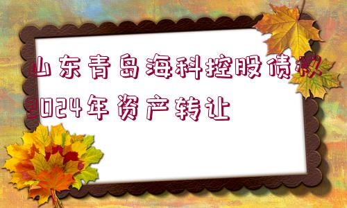 山東青島?？瓶毓蓚鶛?quán)2024年資產(chǎn)轉(zhuǎn)讓