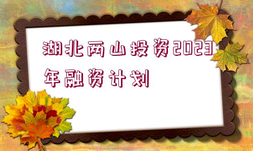 湖北兩山投資2023年融資計(jì)劃