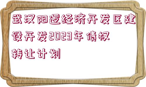 武漢陽邏經濟開發(fā)區(qū)建設開發(fā)2023年債權轉讓計劃