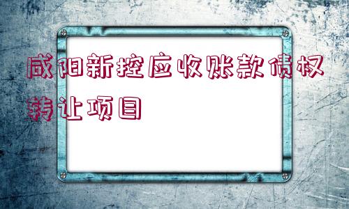 咸陽新控應(yīng)收賬款債權(quán)轉(zhuǎn)讓項目