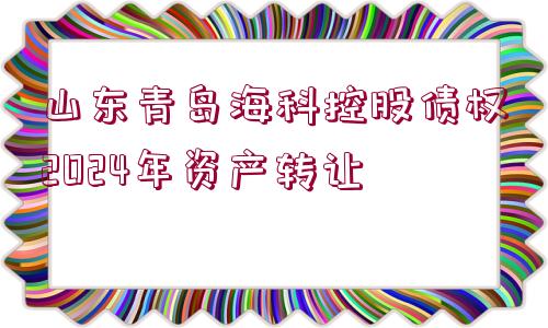 山東青島?？瓶毓蓚鶛?quán)2024年資產(chǎn)轉(zhuǎn)讓