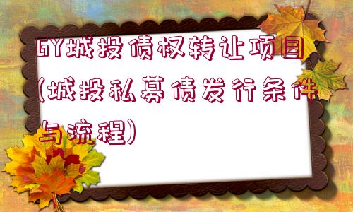 GY城投債權(quán)轉(zhuǎn)讓項(xiàng)目(城投私募債發(fā)行條件與流程)