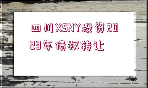 四川XSNY投資2023年債權(quán)轉(zhuǎn)讓