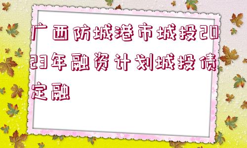 廣西防城港市城投2023年融資計(jì)劃城投債定融