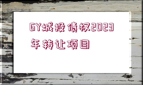 GY城投債權(quán)2023年轉(zhuǎn)讓項(xiàng)目