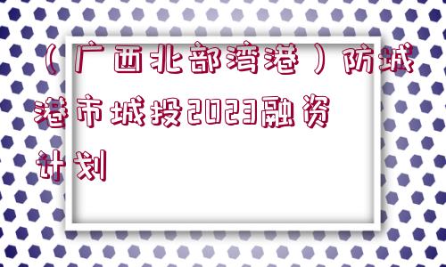 （廣西北部灣港）防城港市城投2023融資計(jì)劃