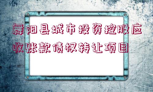 舞陽縣城市投資控股應(yīng)收賬款債權(quán)轉(zhuǎn)讓項目