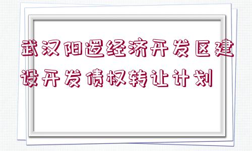 武漢陽邏經(jīng)濟開發(fā)區(qū)建設(shè)開發(fā)債權(quán)轉(zhuǎn)讓計劃