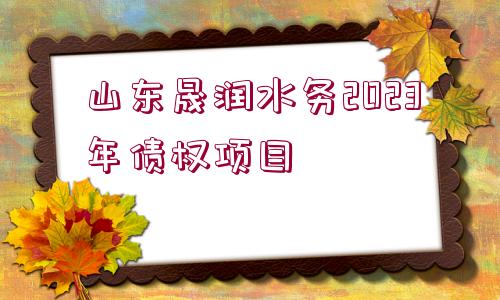 山東晟潤(rùn)水務(wù)2023年債權(quán)項(xiàng)目