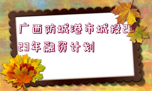 廣西防城港市城投2023年融資計劃