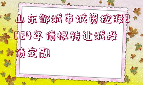 山東鄒城市城資控股2024年債權(quán)轉(zhuǎn)讓城投債定融