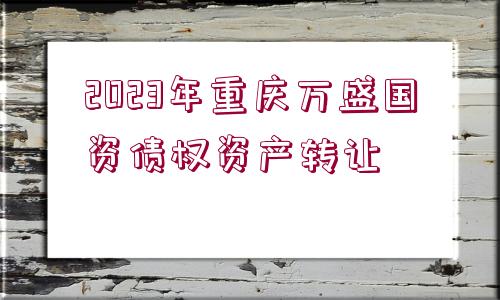 2023年重慶萬盛國資債權(quán)資產(chǎn)轉(zhuǎn)讓