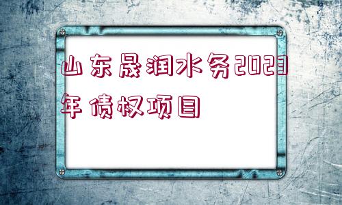 山東晟潤水務2023年債權項目