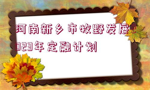 河南新鄉(xiāng)市牧野發(fā)展2023年定融計(jì)劃