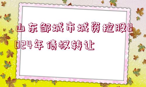 山東鄒城市城資控股2024年債權轉讓