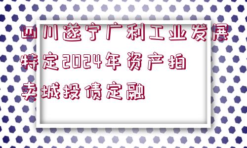 四川遂寧廣利工業(yè)發(fā)展特定2024年資產拍賣城投債定融