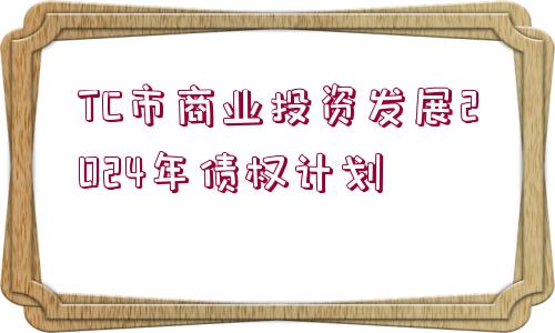 TC市商業(yè)投資發(fā)展2024年債權(quán)計劃