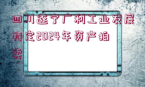 四川遂寧廣利工業(yè)發(fā)展特定2024年資產(chǎn)拍賣(mài)