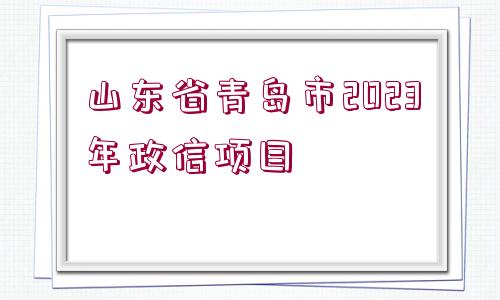 山東省青島市2023年政信項目