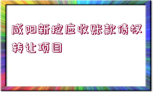 咸陽新控應(yīng)收賬款債權(quán)轉(zhuǎn)讓項目