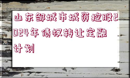 山東鄒城市城資控股2024年債權轉(zhuǎn)讓定融計劃