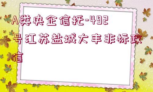 A類央企信托-492號(hào)江蘇鹽城大豐非標(biāo)政信