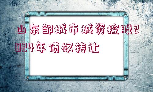 山東鄒城市城資控股2024年債權(quán)轉(zhuǎn)讓