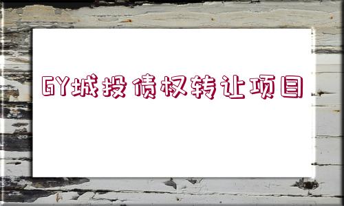 GY城投債權(quán)轉(zhuǎn)讓項目