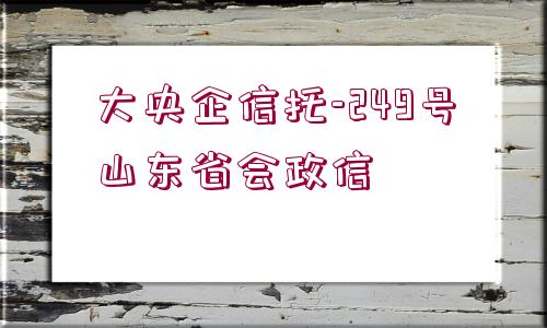 大央企信托-249號山東省會政信