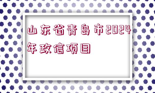 山東省青島市2024年政信項目