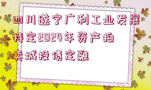 四川遂寧廣利工業(yè)發(fā)展特定2024年資產(chǎn)拍賣城投債定融