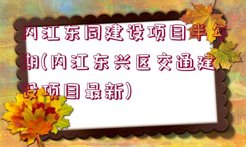 內(nèi)江東同建設項目半年期(內(nèi)江東興區(qū)交通建設項目最新)