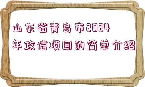 山東省青島市2024年政信項(xiàng)目的簡單介紹