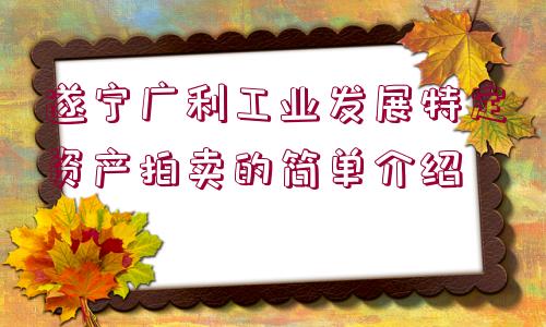 遂寧廣利工業(yè)發(fā)展特定資產(chǎn)拍賣(mài)的簡(jiǎn)單介紹