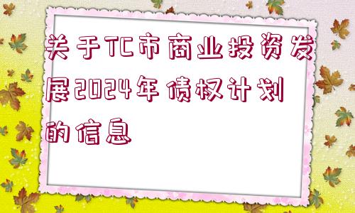 關(guān)于TC市商業(yè)投資發(fā)展2024年債權(quán)計劃的信息