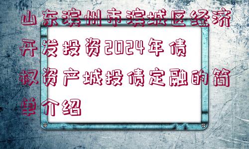 山東濱州市濱城區(qū)經(jīng)濟開發(fā)投資2024年債權資產(chǎn)城投債定融的簡單介紹